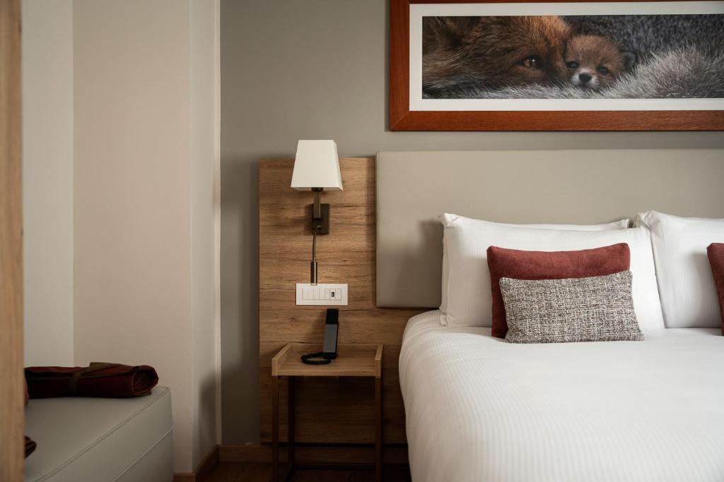 Hotel Livata Mountain Wellness - 单人间