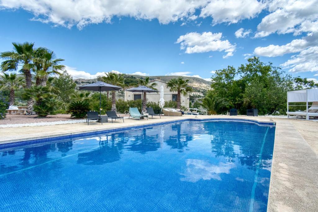 a swimming pool with chairs and palm trees at La Luna in Jijona
