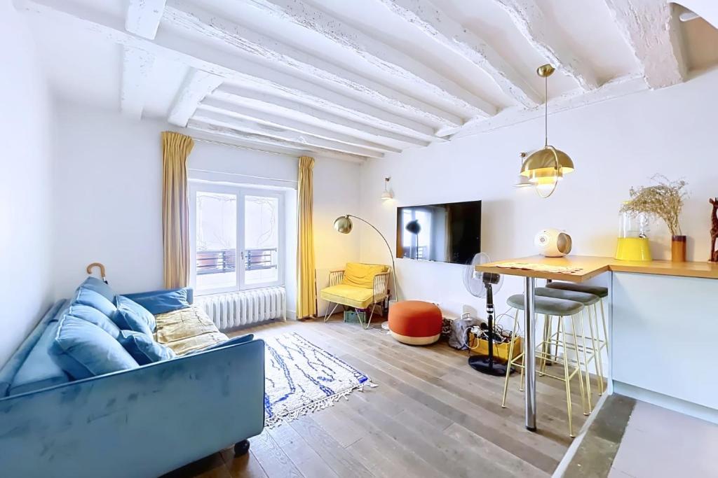 Charming Duplex Place des Vosges