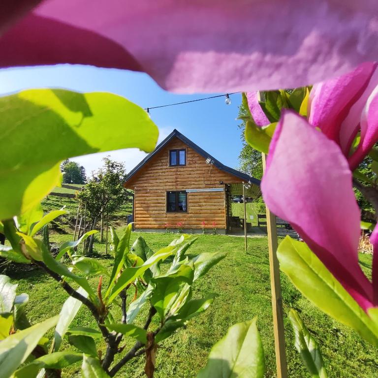 a house in the background with a pink flower at Chata DUDZIAKÓWKA in Werlas