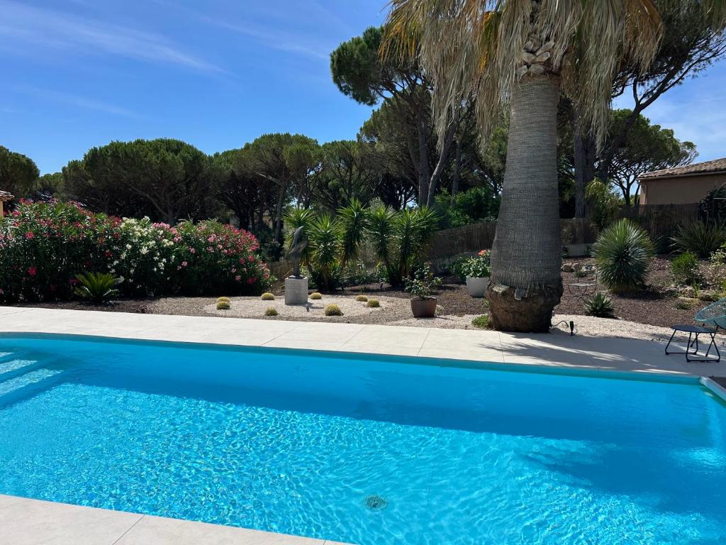 a blue swimming pool with a palm tree in a yard at VILLA MESSILIA Guest Rooms French Riviera in Saint-Raphaël