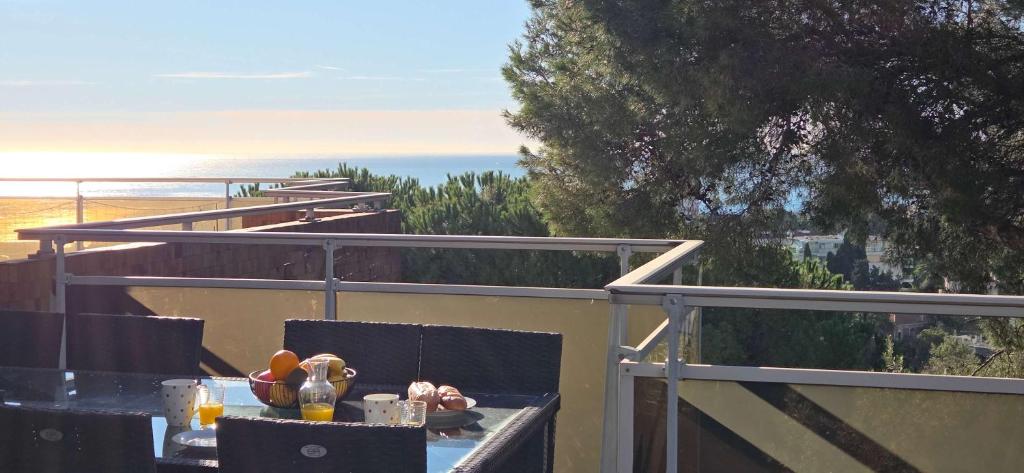 Studio grande terrasse et vue mer, colline niçoise