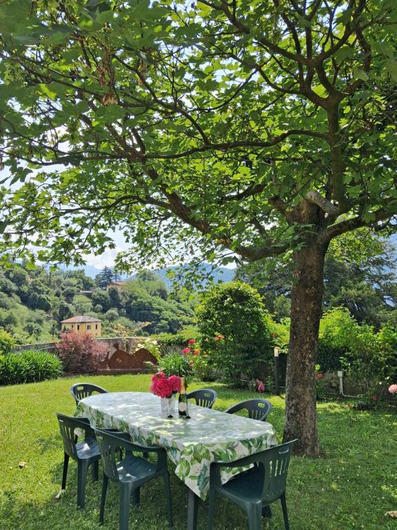 a table with flowers on it under a tree at Casa Ninni in Tremezzo