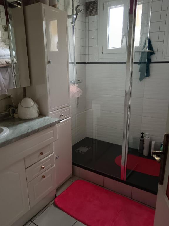 a bathroom with a shower with a red rug at 24h du Mans in Ruaudin