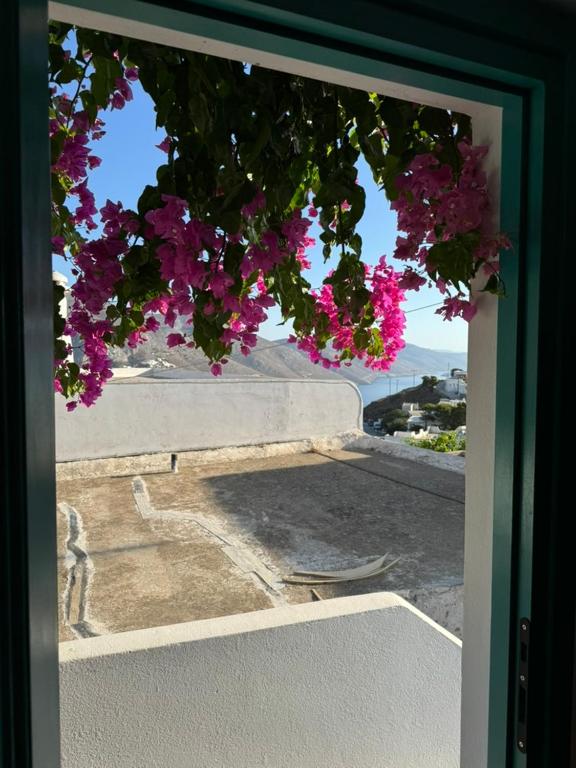 a view of a window with pink flowers hanging from it at Kamares in Tholária