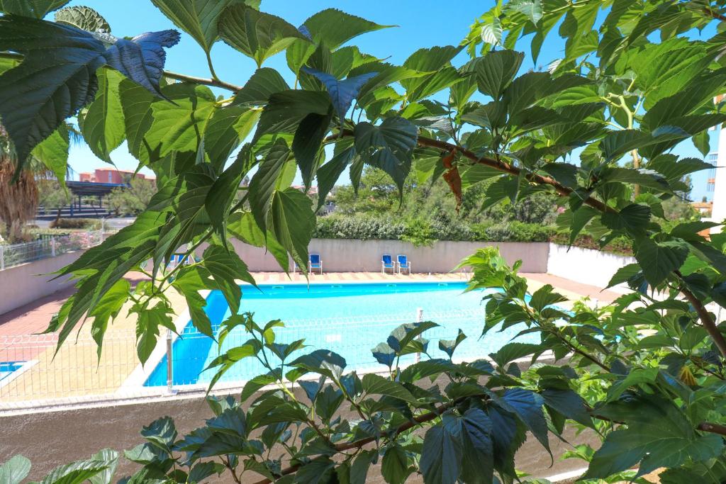 Charma by pom, clim, pkg, piscine