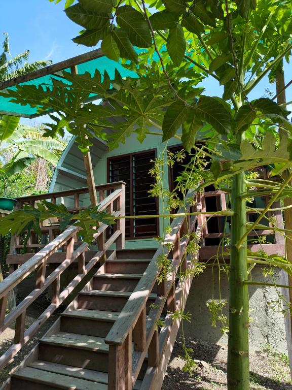 a staircase leading up to a house with trees at Fortunate Lodge, Restaurant & Bar in Lénakel