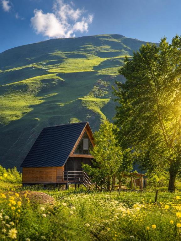 a cabin in a field with a mountain in the background at Cottage GORDA Kazbegi in Akhalts'ikhe