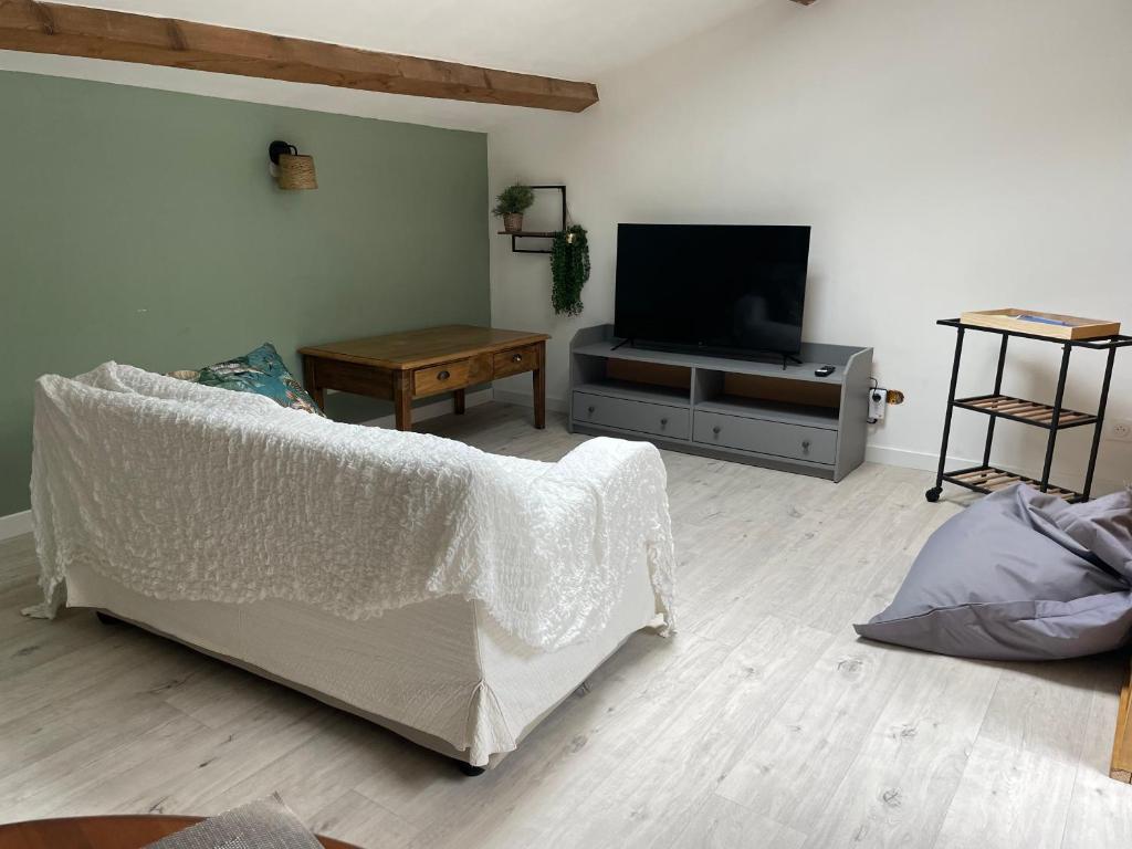 a living room with a couch and a television at Les Vieux Platanes Loft chaleureux in La Crau
