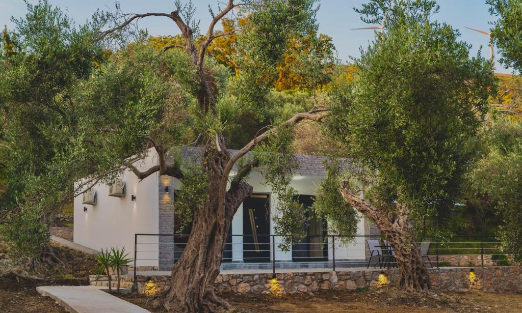 a white house with trees in front of it at Vikanto Stay in Ulcinj