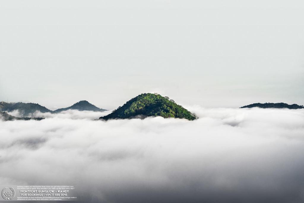 a mountain in the middle of a sea of clouds at The Montfort - Kandy in Kandy