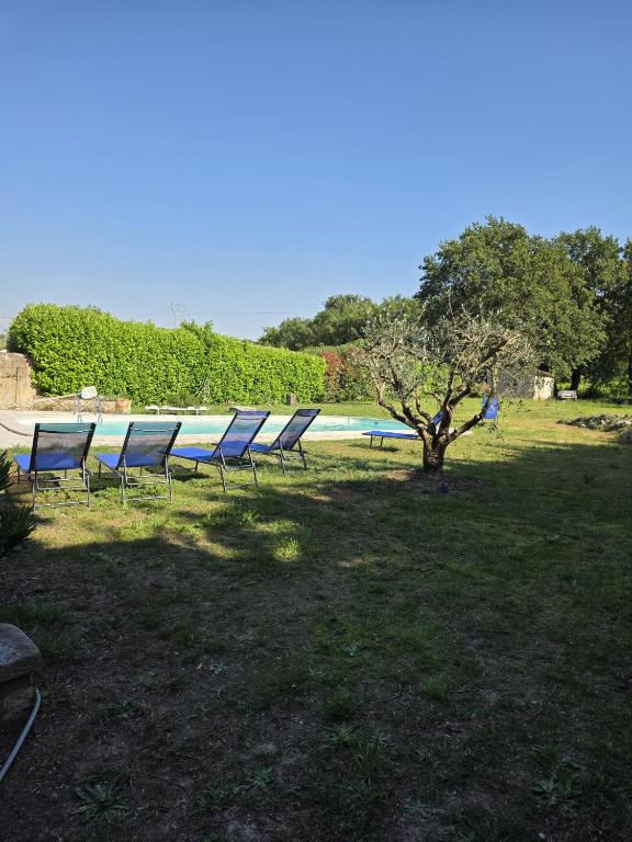 a group of chairs sitting in the grass near a pool at MAS de 1676 in Mallemort