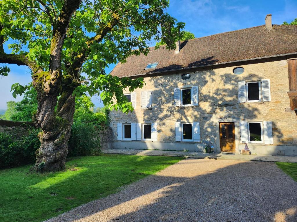 an old stone house with a tree in front of it at Superbe maison en pierre in Sault-Brénaz