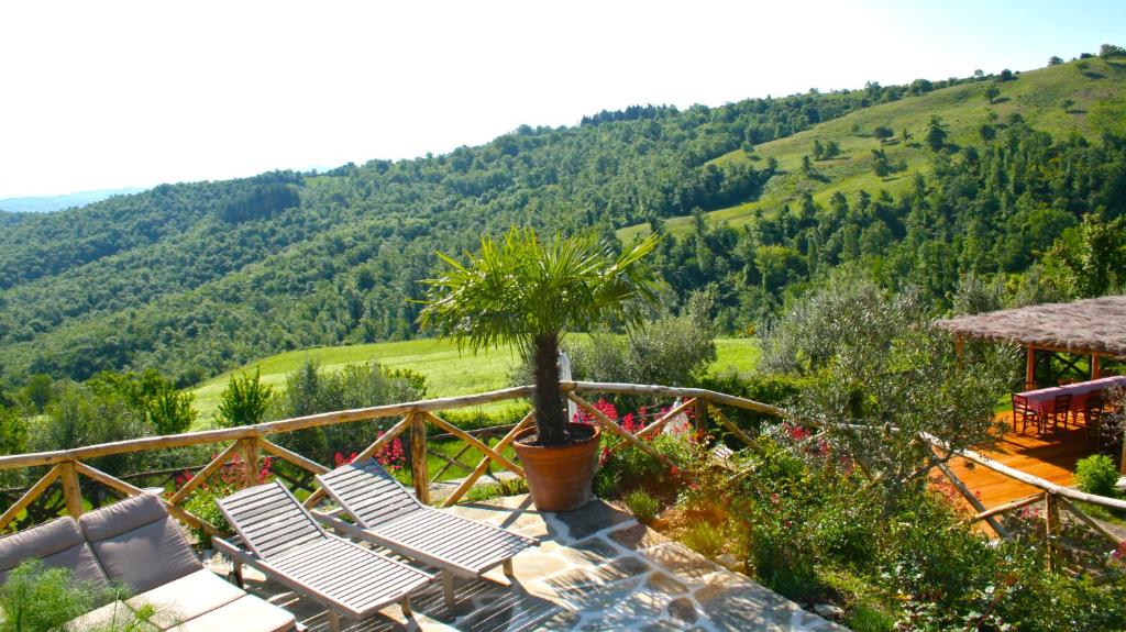 Příroda nedaleko bed and breakfast