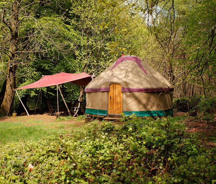 a yurt with a red tent in the woods at Adhurst Yurts in Sheet