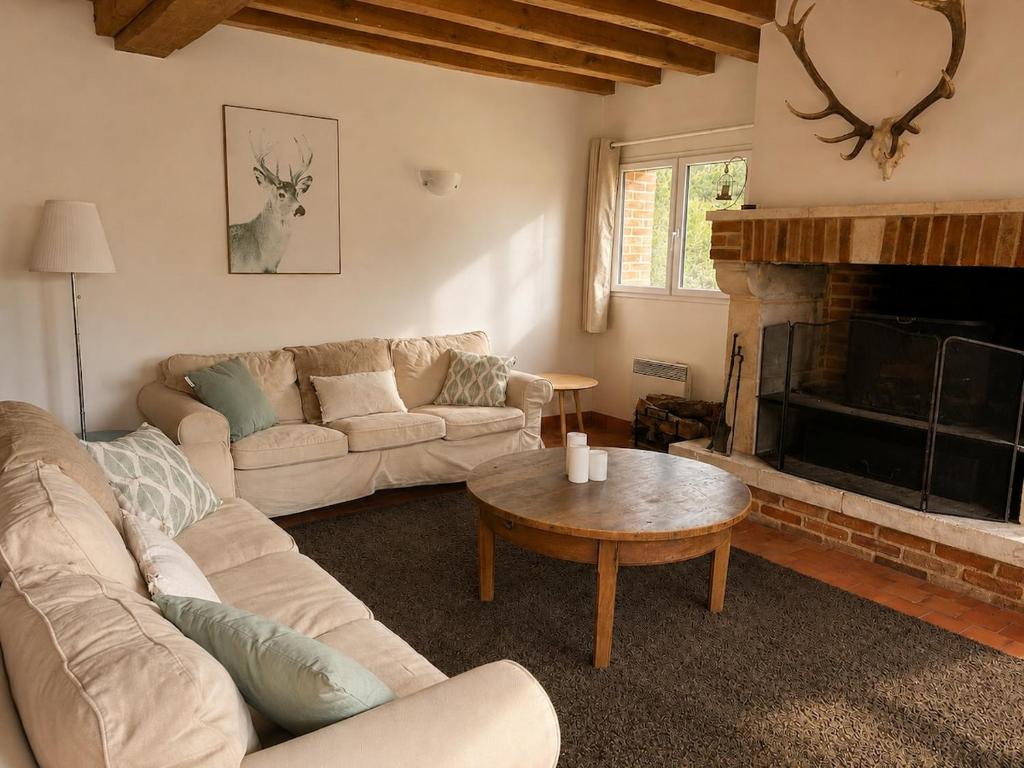 a living room with a couch and a fireplace at La Bernache Solognote in Viglain