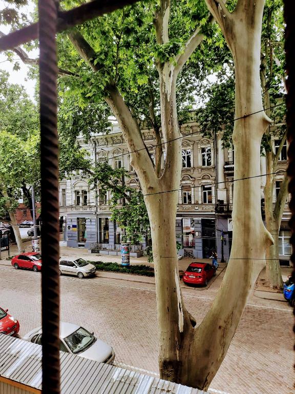 Апартаменти в английском стиле фото 5
