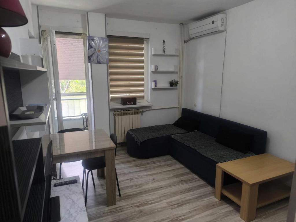 a small living room with a couch and a table at Apartman Točaković in Kladovo