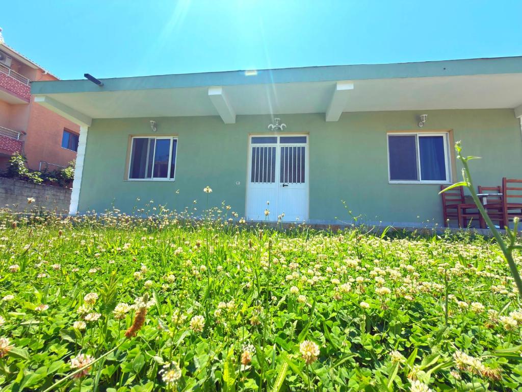 a green house with a blue door and a field of flowers at Olive GREEN house in Durrës