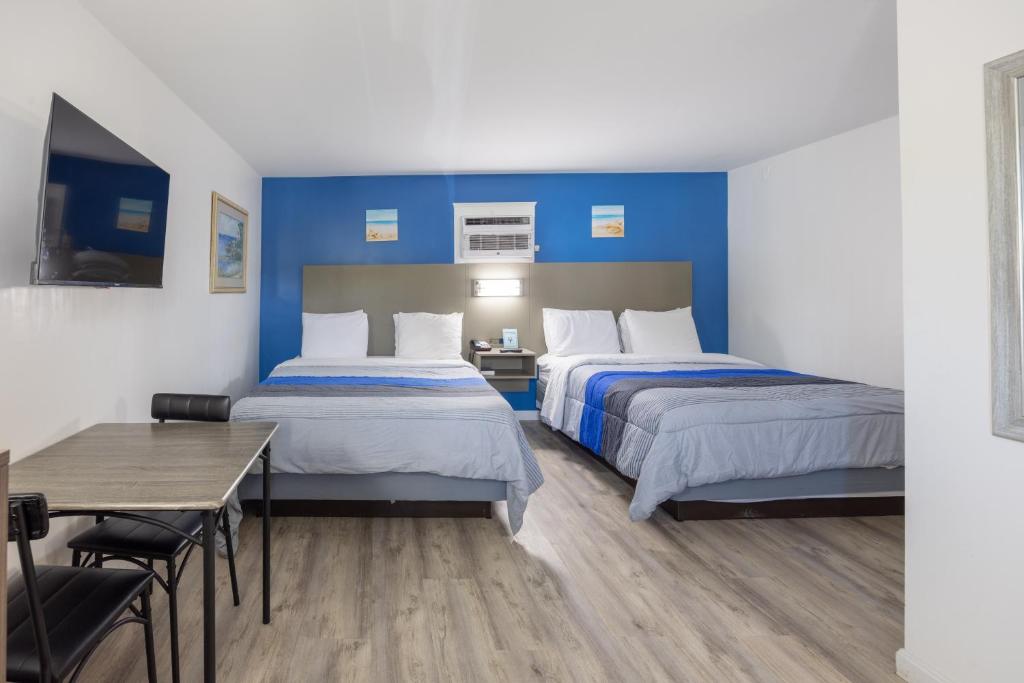 Blue Spruce - 