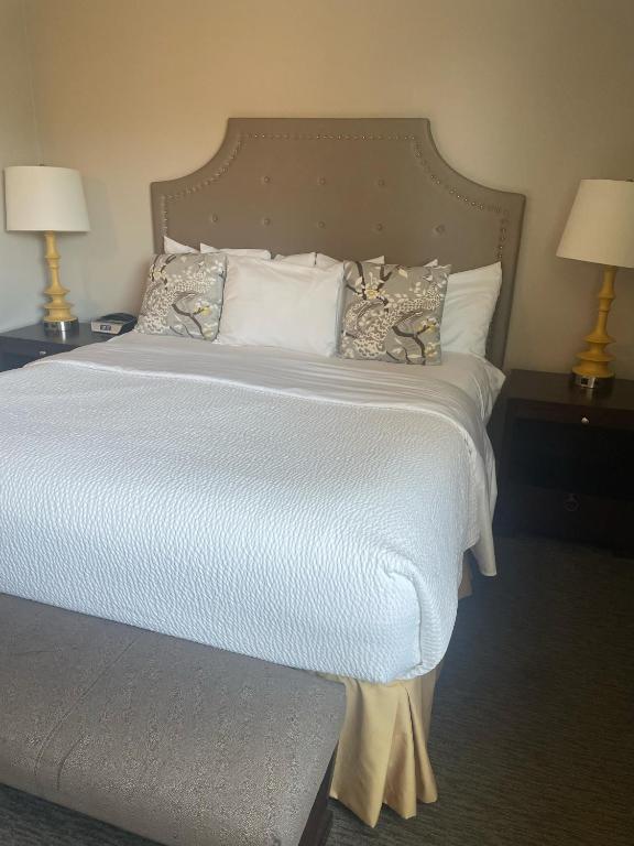 The Mark Spencer Hotel photo
