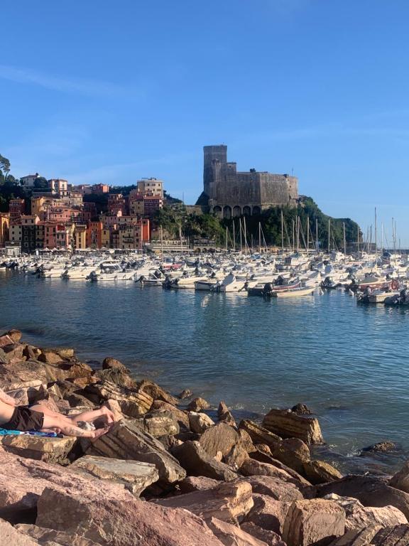a group of boats are docked in a harbor at CASABARBARA lerici in Lerici