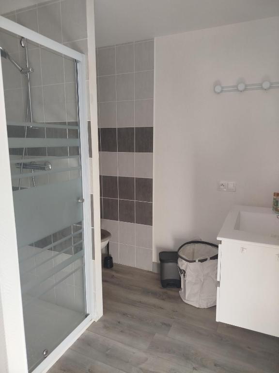 a bathroom with a shower and a sink at Studio in Blois