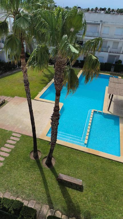 two palm trees in front of a swimming pool at Apartamentos Fercamar Denia in Denia