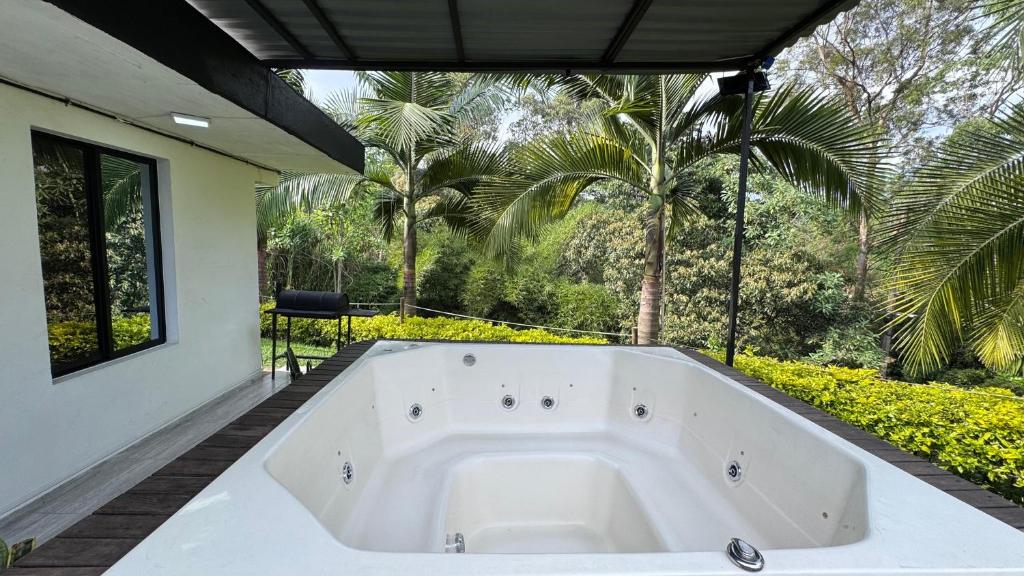 a bath tub on a patio with palm trees at Lisboa Hause in Horizonte