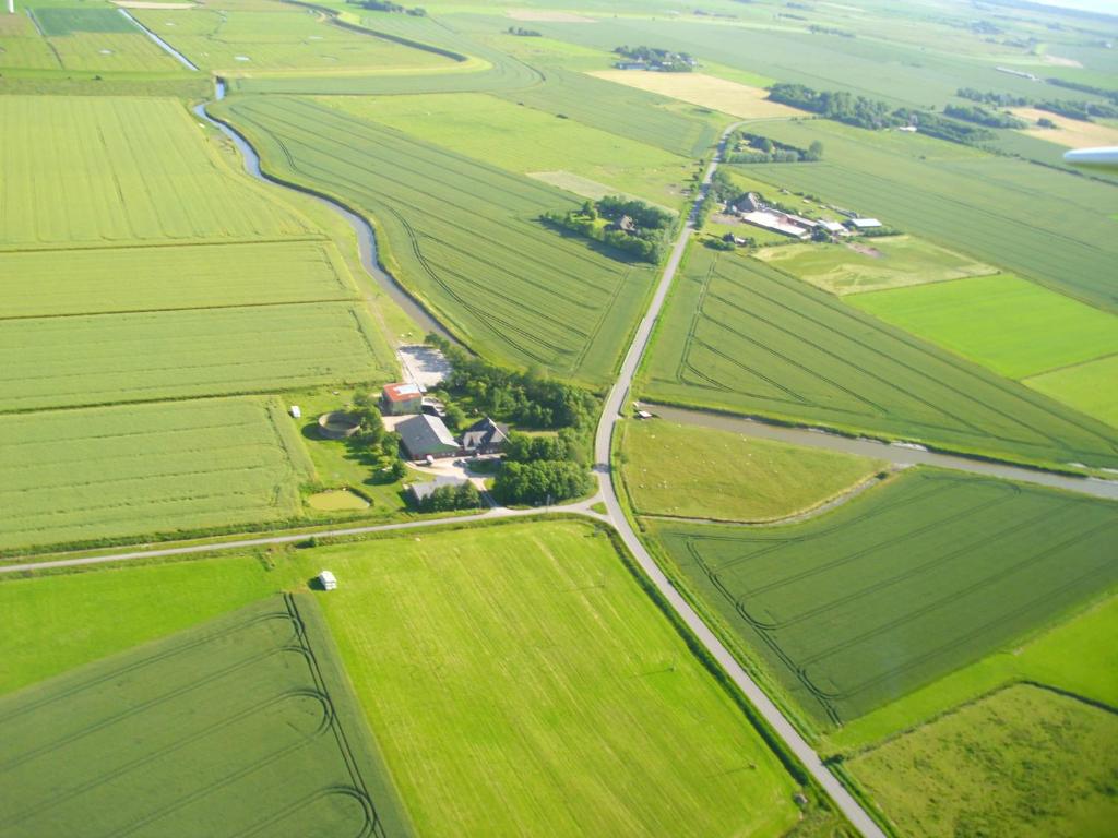 eine Luftansicht auf grüne Felder und eine Straße in der Unterkunft FEWO auf dem Lande / nahe SPO in Tümlauer Koog