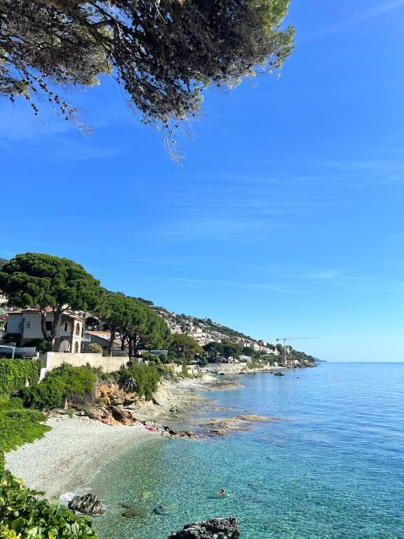a view of a beach with houses and the ocean at Charmant studio île & cap in Bastia