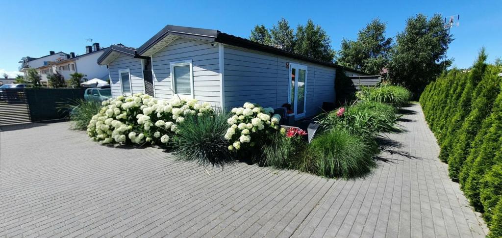 a small house with white flowers in front of it at Kamień Bałtyku Rowy in Rowy