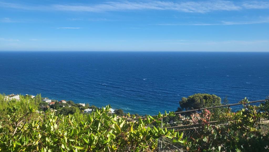 a view of the ocean from a hill at Costa Plana apartment with terrace and sea view in Cap d'Ail