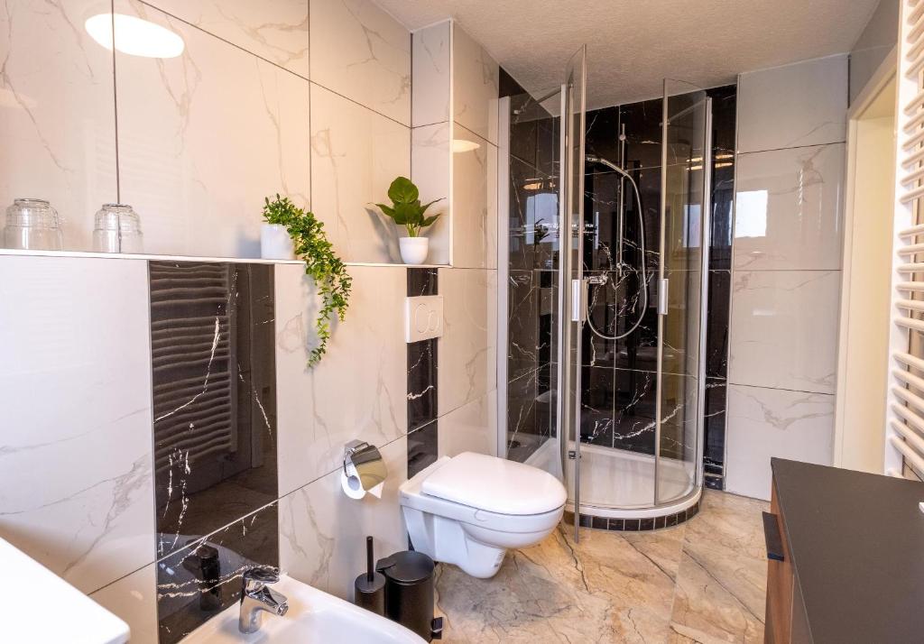 a bathroom with a toilet and a shower and a sink at Ferienwohnung Mamma Rosa 1 in Wunsiedel