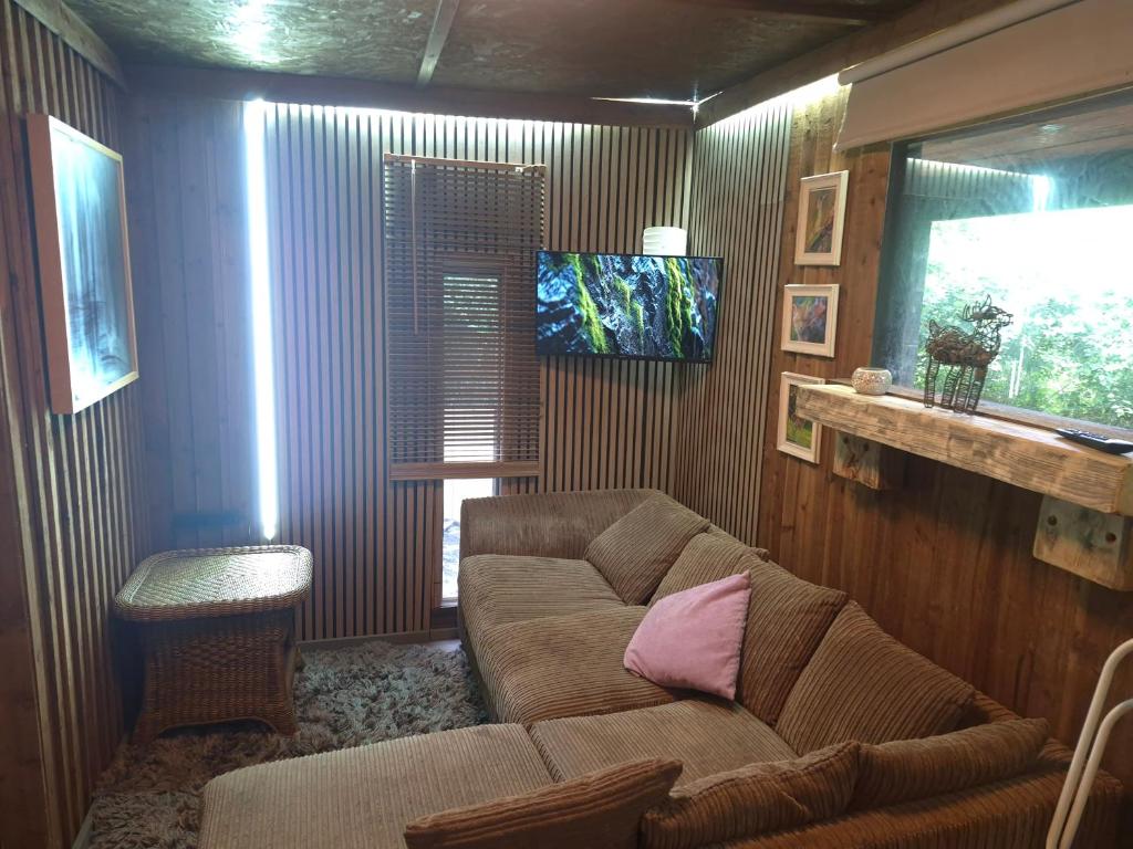 a living room with a couch and a tv at Froglets island cabin in Bexley