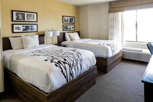 Wingate by Wyndham Owensboro photo