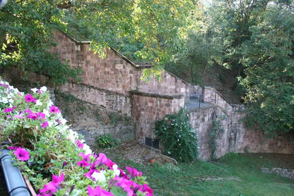 Apartamentos Casa de la Abuela - 15