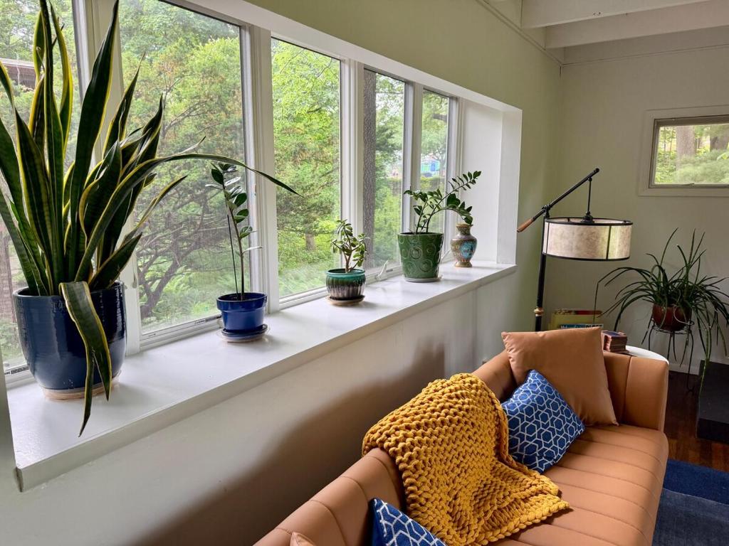 a living room with a couch and some windows at Manville Heights Modern in Iowa City