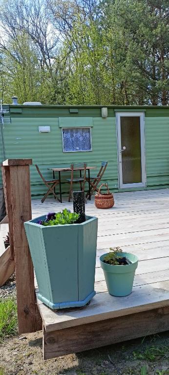 two potted plants sitting on a wooden deck at Chatka in Nasutów