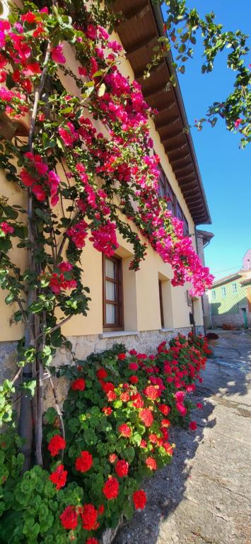 a bunch of flowers on the side of a building at Casa Pelayin in Cue