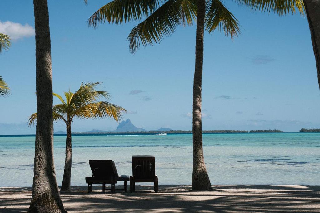 Vahine Private Island - photo 9 - Taha'a, Polynésie