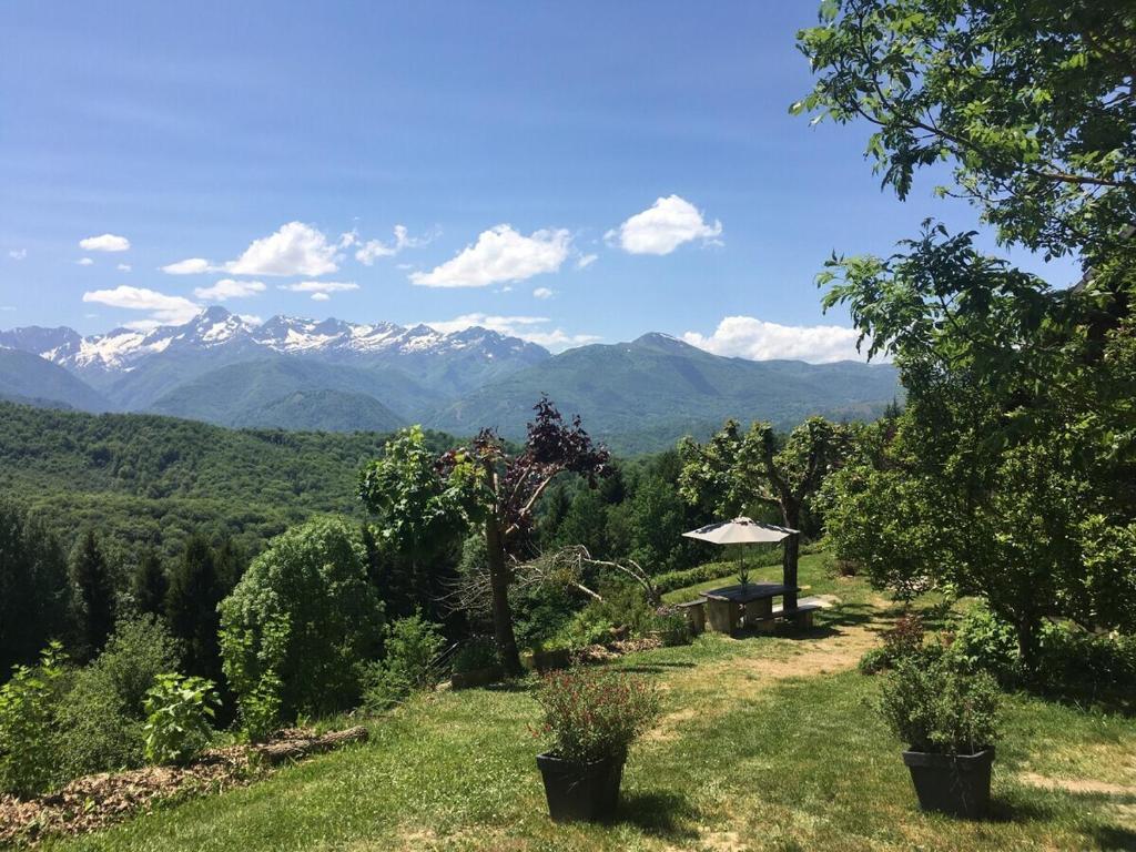 a view of a mountain range from a garden with a view at La Bernadole - Chambres d'Hôtes in Aleu