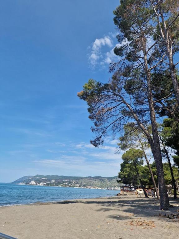 a beach with trees and the ocean in the background at Marbel Sea View in Shëngjin