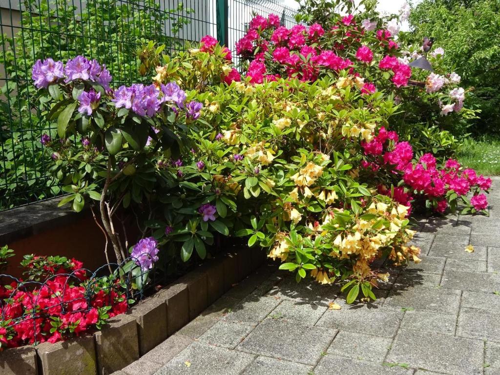 Gîte idéal proche Petite Venise - 5 pers. – photo 32