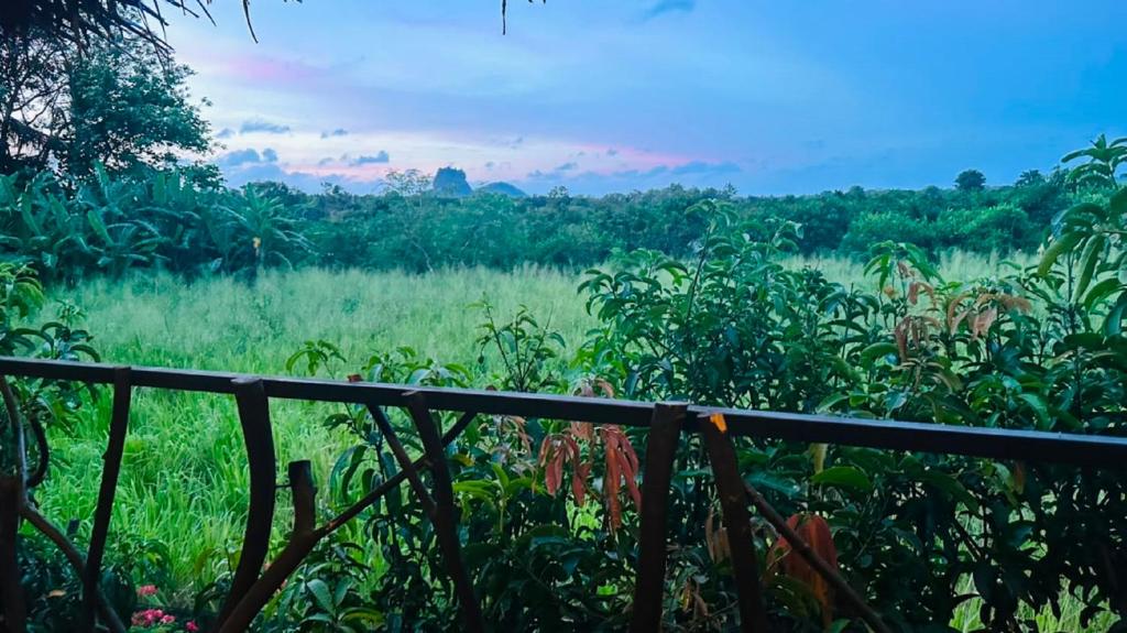 a fence in front of a field of grass at Elegant Elephant Tree House Sigiiriya in Sigiriya