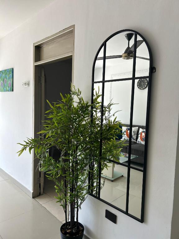 a mirror on a wall with a potted plant at Laurel plaza 46 in Montería