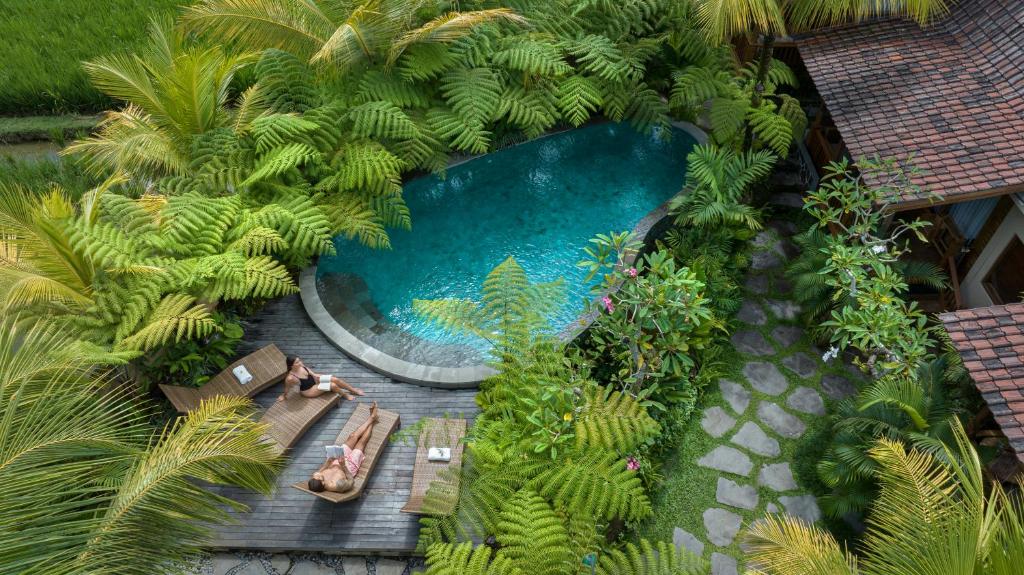 an overhead view of a swimming pool in a garden at Edge of Ubud by GenuineHost in Ubud