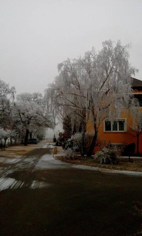 Polgármester Étterem és Panzió v zime