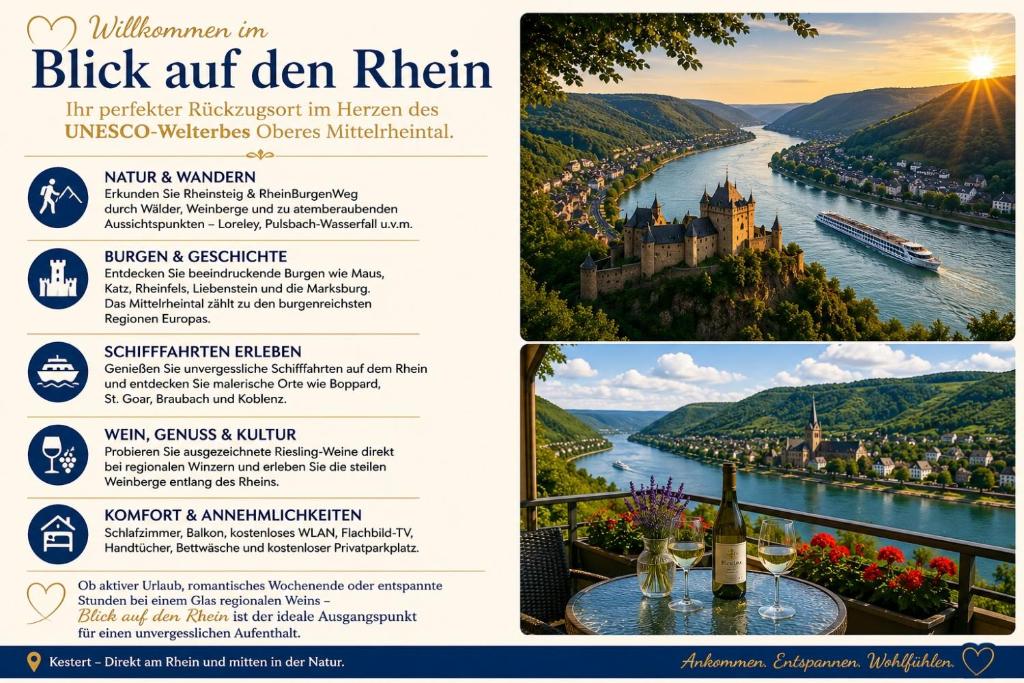 a flyer for a rhine river cruise on the rhine at Blick auf den Rhein in Kestert