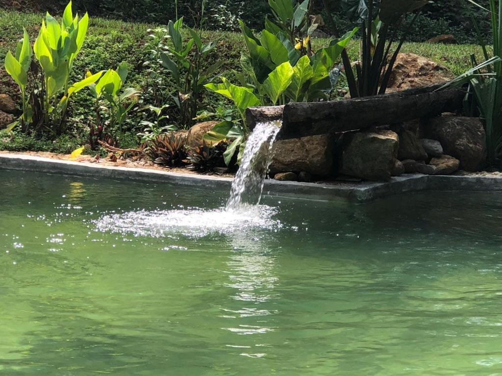 a water fountain in the middle of a pond at Achinthya Nature Resort in Avissawella